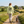 Saucisse - One More Walk - Womens Hoodie