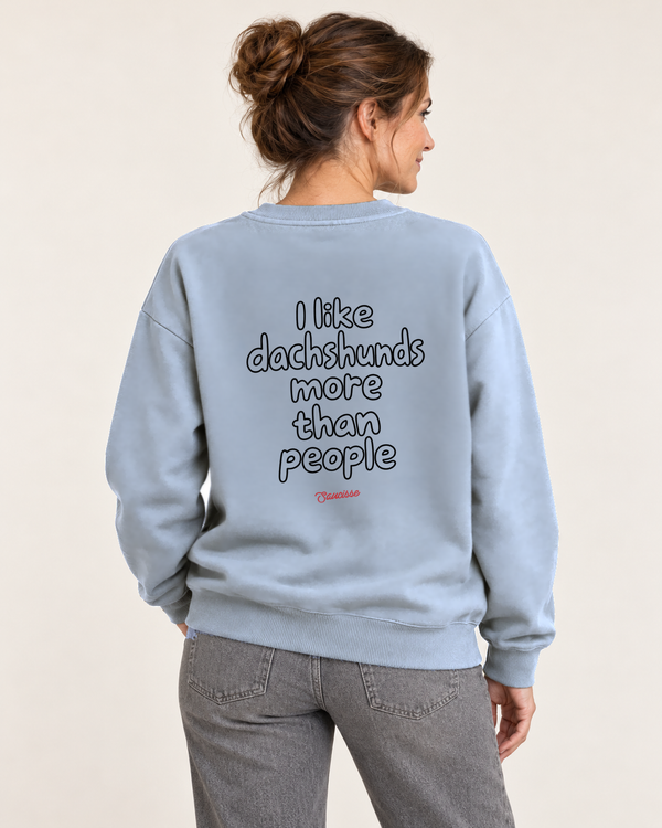 Rear studio view of the Aquamarine Saucisse I Like Dachshunds More Than People sweater, with outline lettering and a red Saucisse signature.