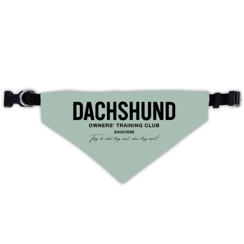 Saucisse - Dachshund Trainers Club - Bandana