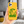 Saucisse yellow case with green dachshund artwork and Slow Walks Coffee Club lettering, held in a hand in a home setting.
