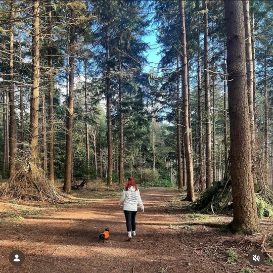 A customer wearing a Saucisse sweatshirt while walking a dachshund through the woods