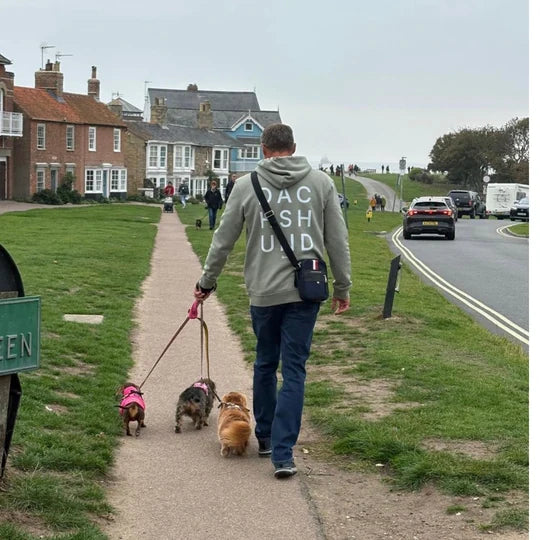 A customer in a sage dachshund hoodie walking three dachshunds by the coast