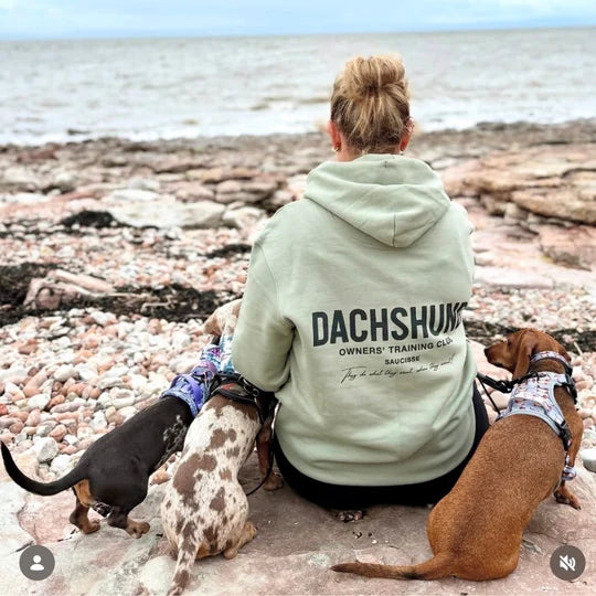 A customer in a sage Dachshund Owners Training Club hoodie sitting beside three dachshunds at the beach
