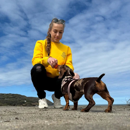 A customer in a yellow Saucisse sweatshirt sharing a moment with a dachshund outdoors